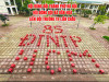 KỈ NIỆM 85 NĂM NGÀY THÀNH LẬP ĐỘI, 136 NĂM NGÀY SINH CHỦ TỊCH HỒ CHÍ MINH, CHÀO ĐÓN CÁC BÉ MẦM NON 5 TUỔI SANG THAM QUAN TRƯỜNG